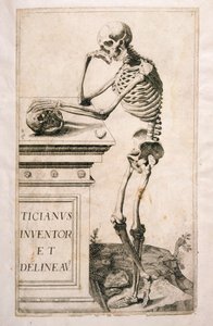 Anatomische Studie, von Domenico Maria Bonavera von Tiziano Vecelli